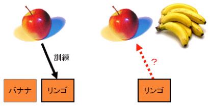 りんご