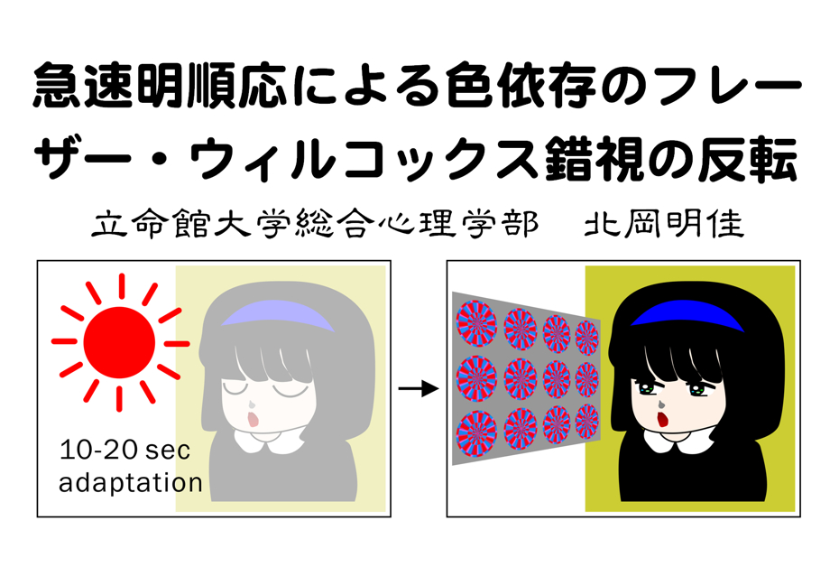 急速明順応による色依存のフレーザー・ウィルコックス錯視の反転