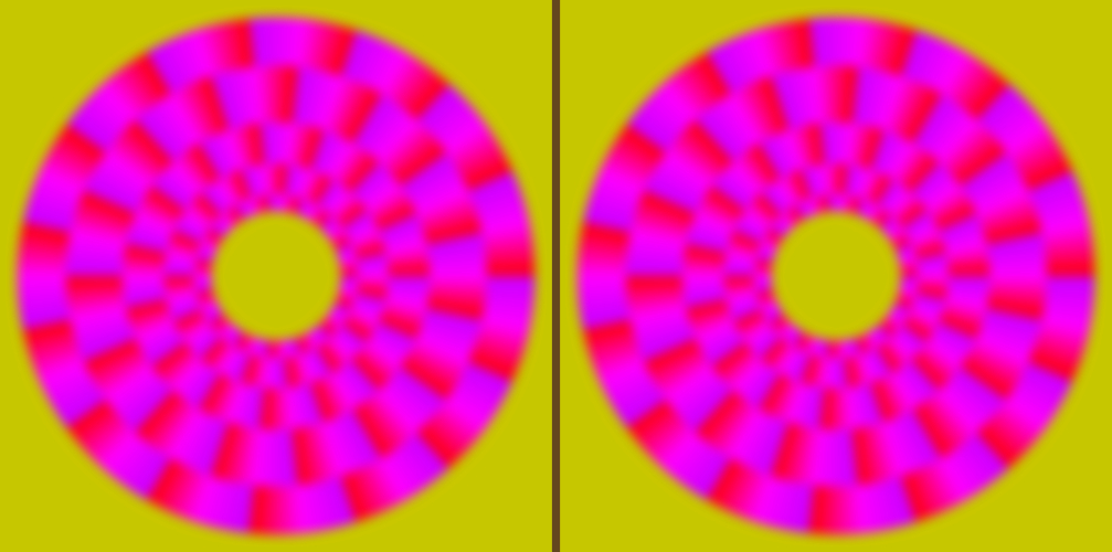 Optical Illusion Chameleonb