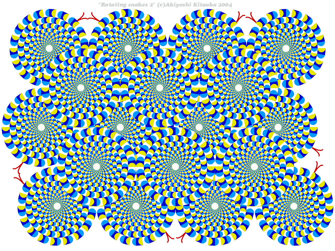 rotsnak2.gif