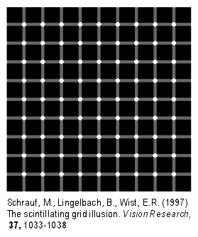 Scintillating grid illusion