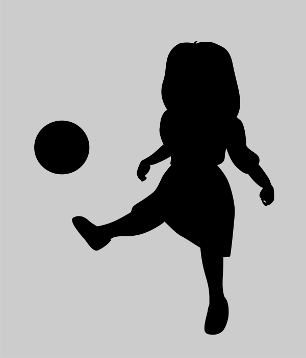 ambiguous figures