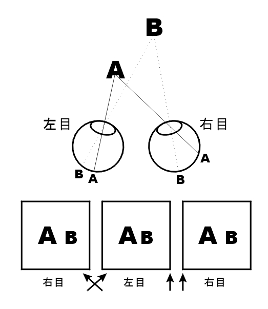 視 やり方 立体